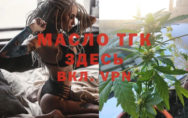 сатива Аркадак