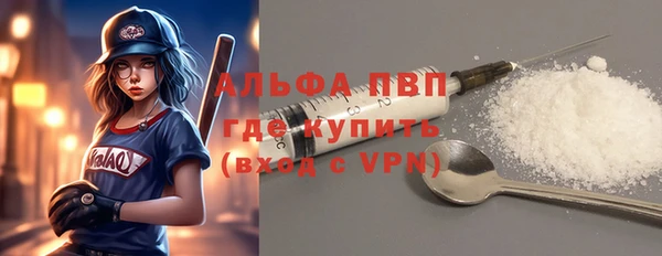 сатива Аркадак