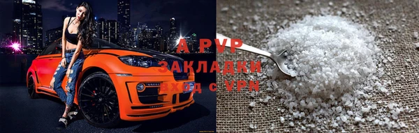 прущие крисы Пересвет