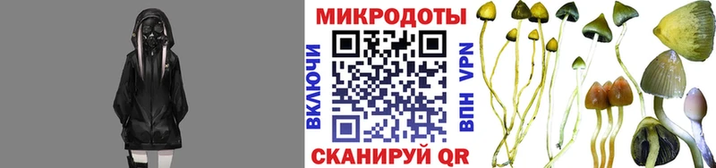 Купить  Заречный  Галлюциногенные грибы MAGIC MUSHROOMS 